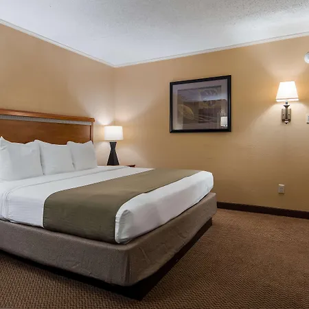 Surestay Plus By Best Western Covington-3